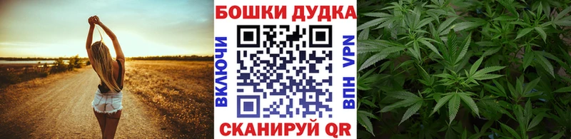 где найти наркотики  Гдов  гидра зеркало  Канабис MAZAR 